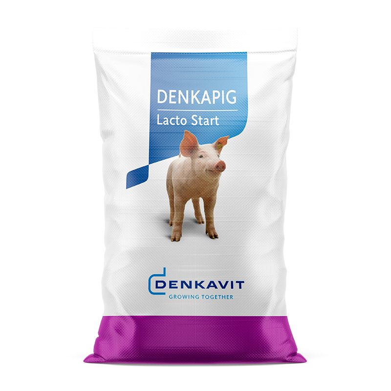 DENKAPIG LACTO START