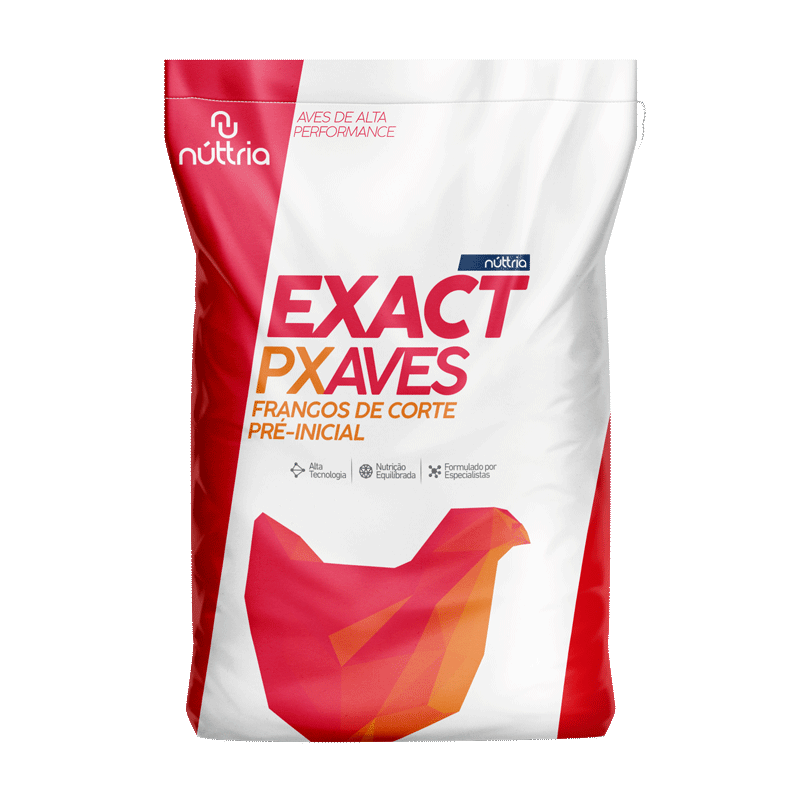 PX FGO PRÉ-INICIAL EXACT