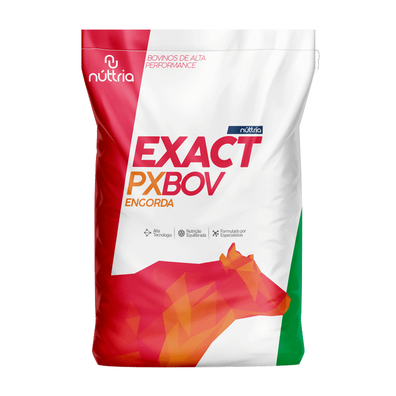 PX BOV ENGORDA EXACT