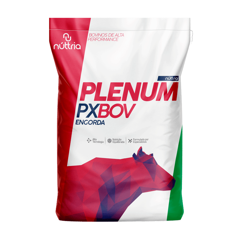 PX BOV ENGORDA PLENUM