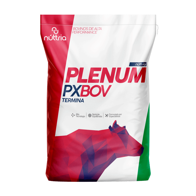 PX BOV TERMINA PLENUM