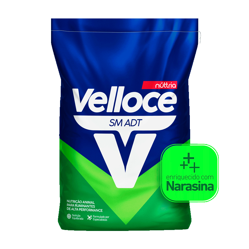 VELLOCE SM ADT