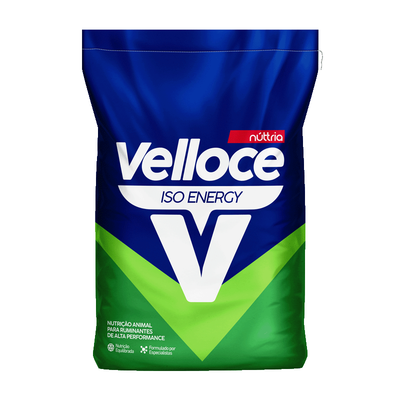 VELLOCE ISO ENERGY